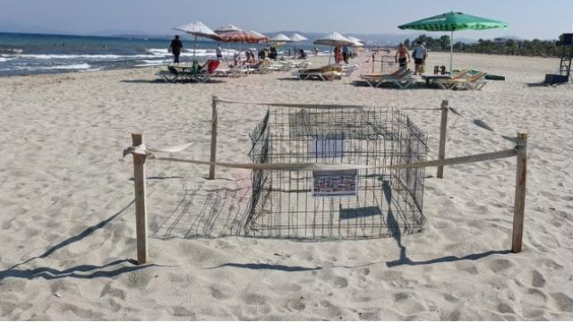 Kuşadası'nda bir yuva daha tespit edildi