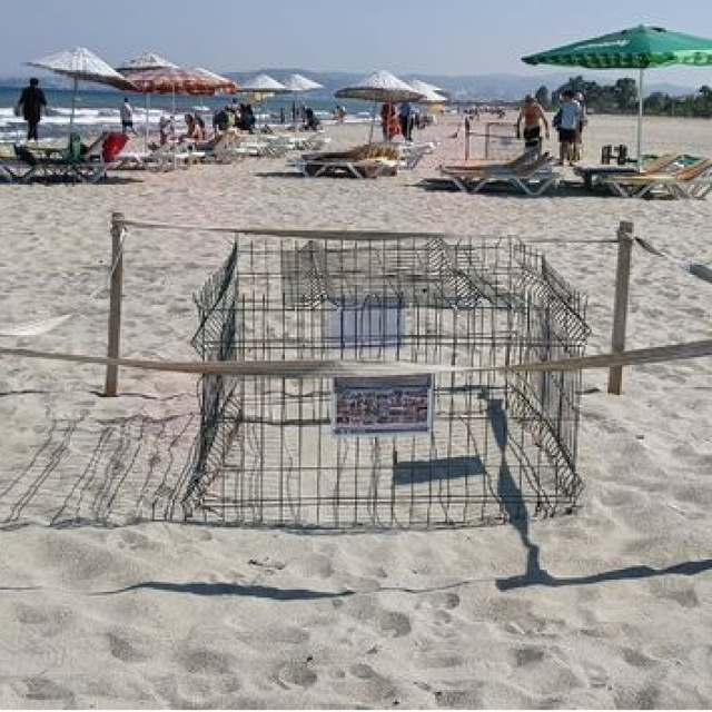 Kuşadası'nda bir yuva daha tespit edildi