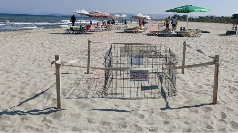 Kuşadası'nda bir yuva daha tespit edildi