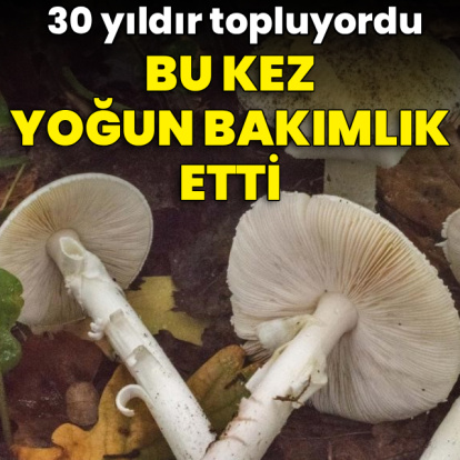 30 yıldır güvenle topladığı mantar bu kez yoğun bakımlık etti