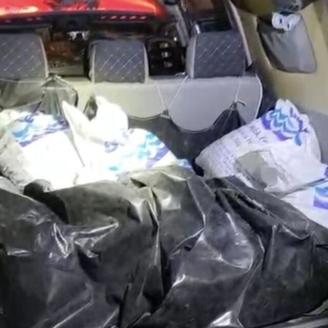 Samsun'da kaçak avlanan midye ele geçirildi