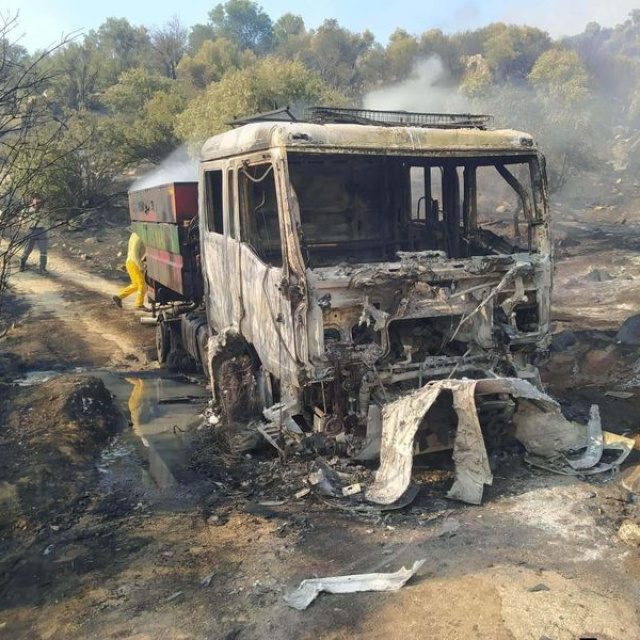 Aydın'daki 100 hektar zeytinlik zarar gördü