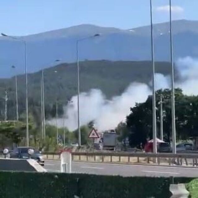 Bursa'da orman yangını