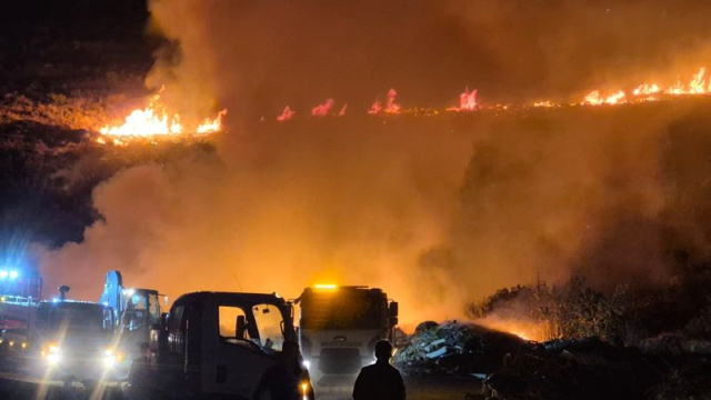 Bodrum'da makilik alanda yangın