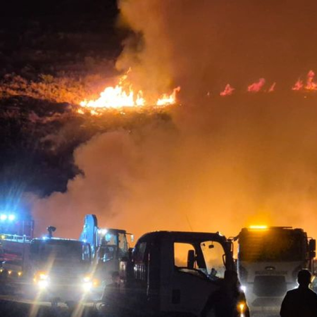 Bodrum'da makilik alanda yangın