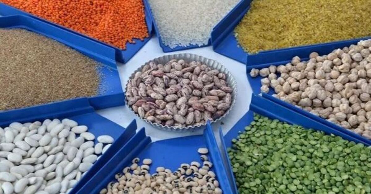 6 ayda 5,8 milyar dolarlık hububat ihracatı