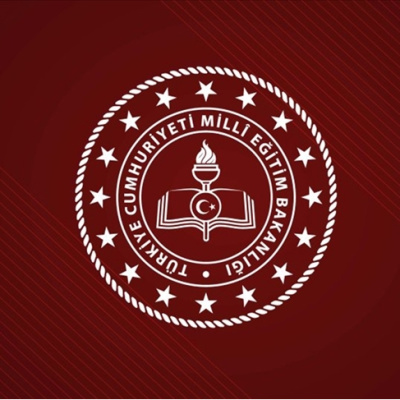 LGS'de kaç kişi tam puan aldı?