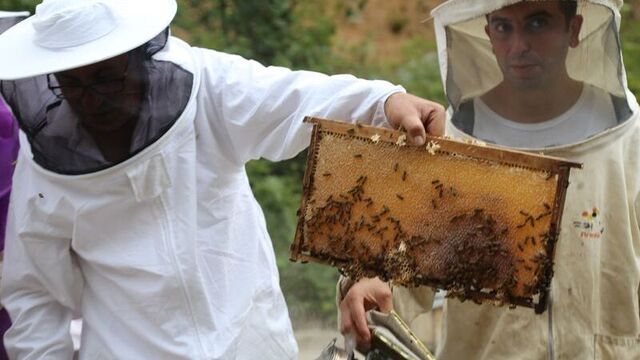 Artvin'de bal fiyatları açıklandı