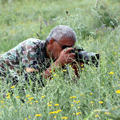 Fotoğrafçılar kaydetti! Yalnızca Van'da görülüyor