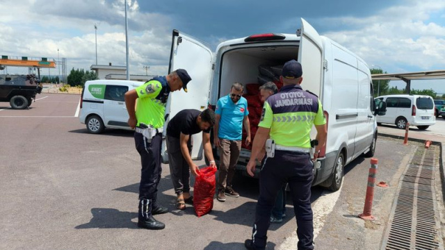 Yalova'da 3 ton midye ele geçirildi
