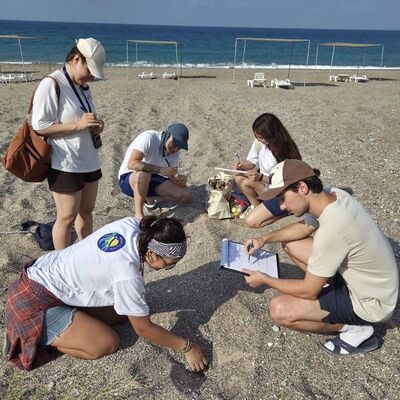 Kızılot'ta caretta caretta nöbeti
