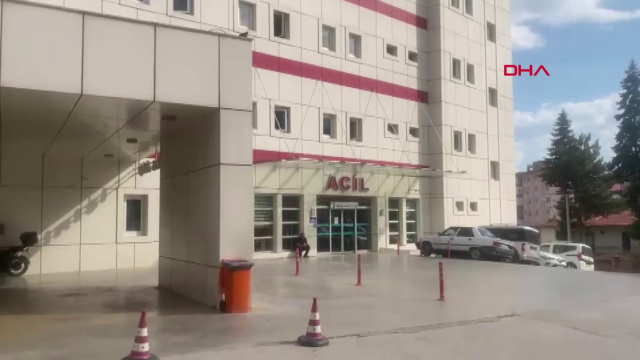 Dalından kiraz yediler, hayatlarını kaybettiler!