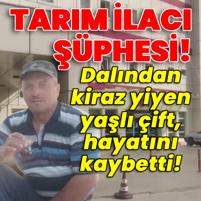 Dalından kiraz yediler, hayatlarını kaybettiler!