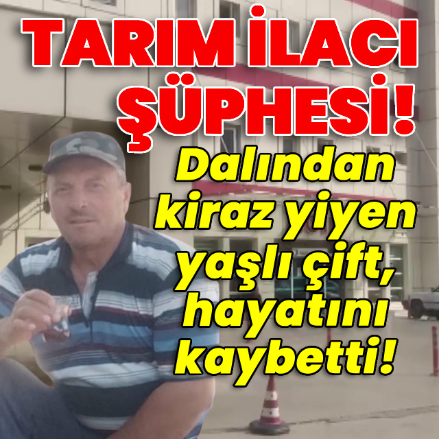 Dalından kiraz yediler, hayatlarını kaybettiler!