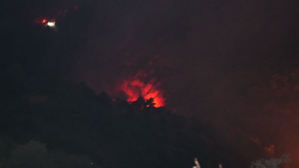 Pamukkale'de orman yangını!