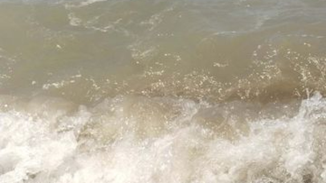 Bodrum'da deniz kirliliğine soruşturma
