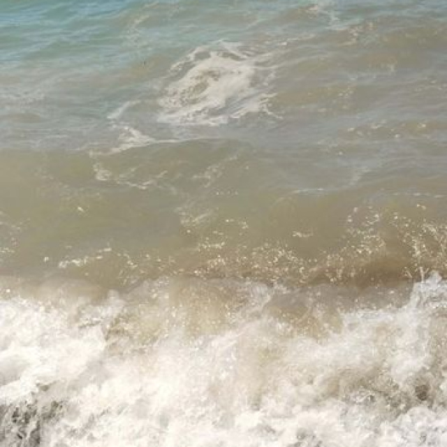Bodrum'da deniz kirliliğine soruşturma