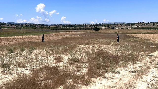 Mersin'de kaybolan kadın aranıyor