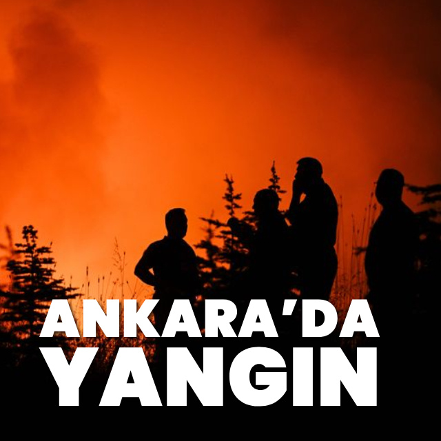 Ankara'da boş arazide yangın