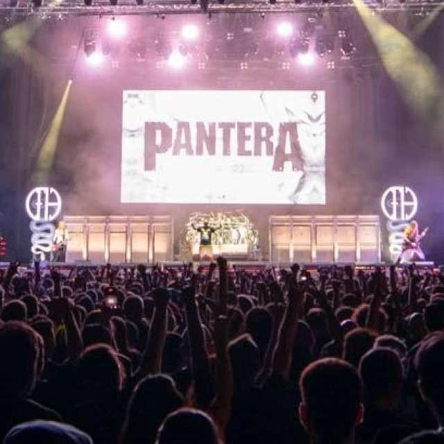 İstanbul'da Pantera fırtınası