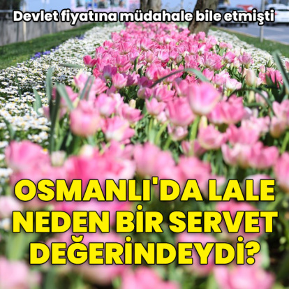 Osmanlı'da lale neden bir servet değerindeydi?