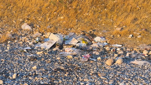 Van'ın mavi bayraklı sahilinde kirlilik