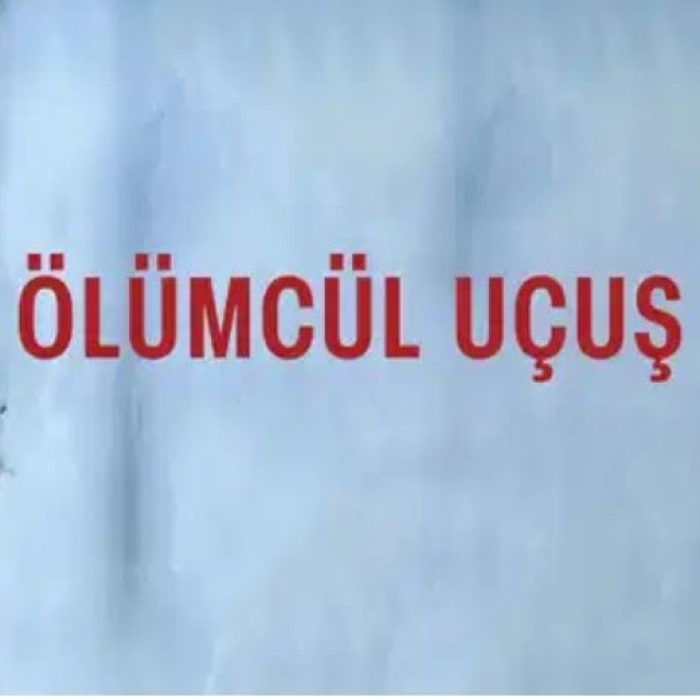 Ölümcül Uçuş (Flight Risk) filmi konusu