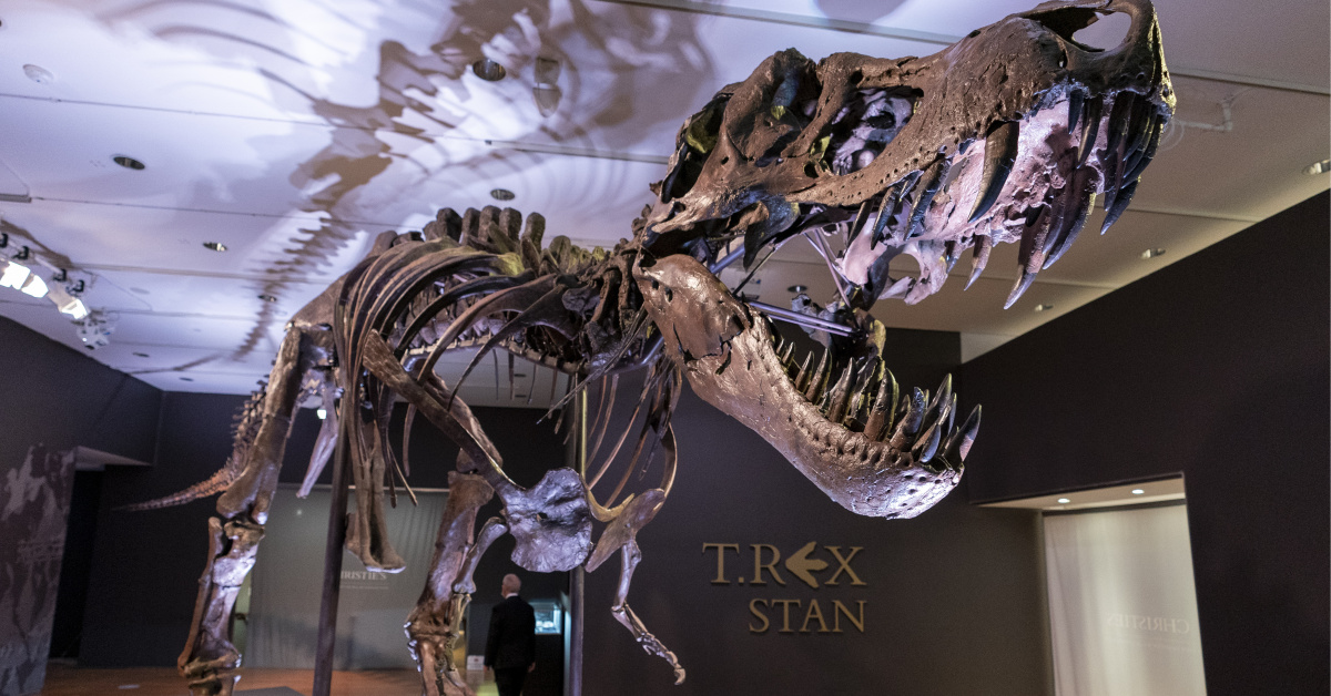T-rex fosili açık artırmada 50,1 milyon dolara satılarak rekor kırdı