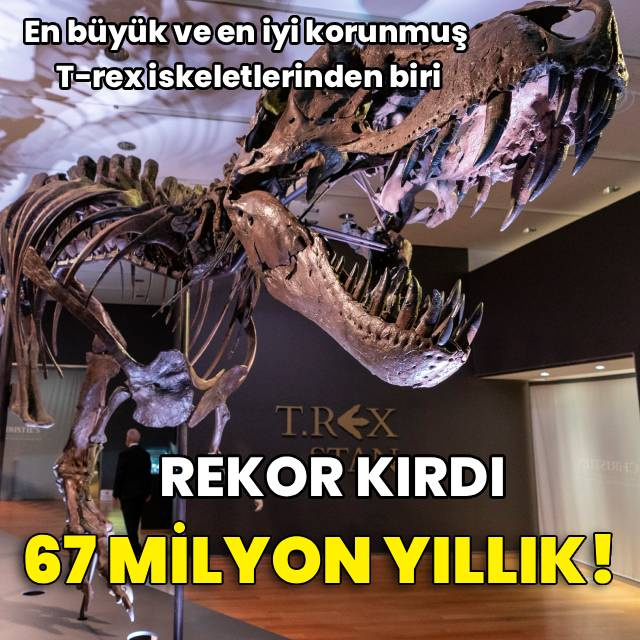 T-rex fosili açık artırma rekoru kırdı