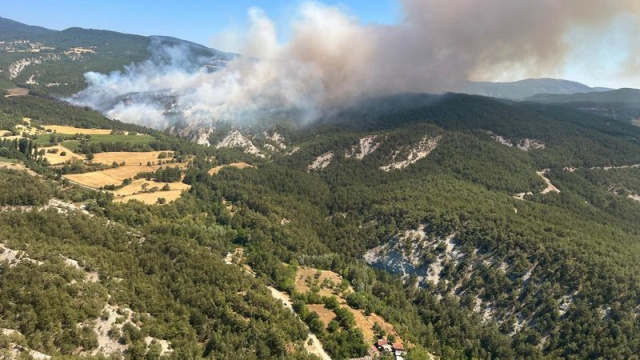 Bolu'da ormanlara giriş yasaklandı