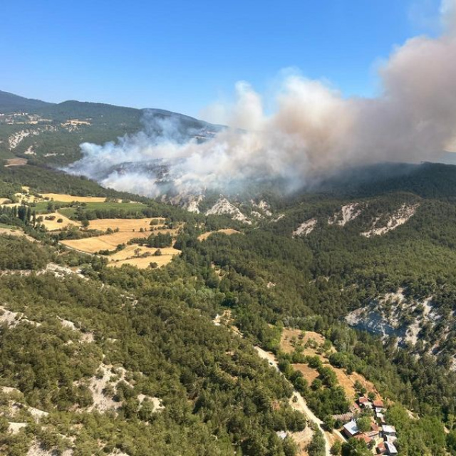 Bolu'da ormanlara giriş yasaklandı