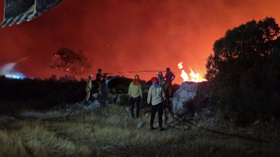 Milas'ta orman yangını! 1120 kişi tahliye edildi