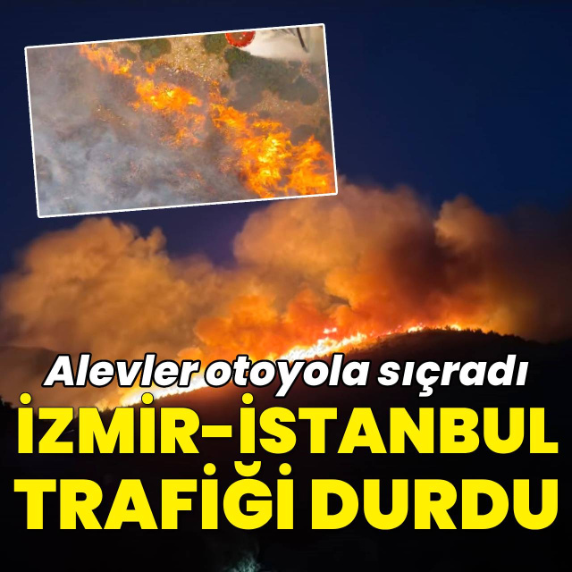 Milas'ta orman yangını! 1120 kişi tahliye edildi