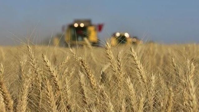 Tarım ÜFE haziranda yüzde 9 azaldı