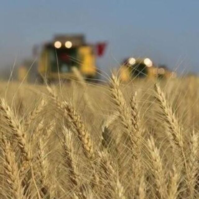 Tarım ÜFE haziranda yüzde 9 azaldı