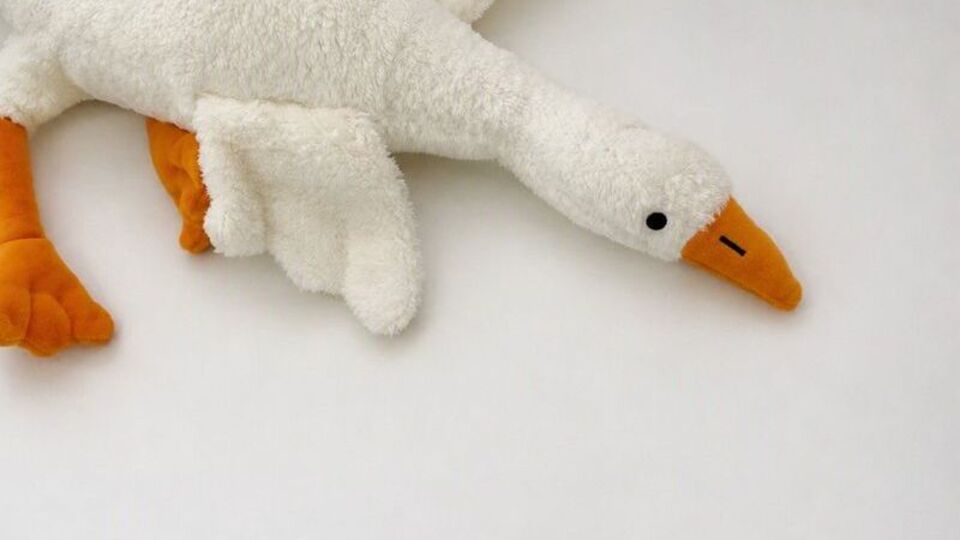 'Peluş kaz' piyasadan toplatılacak