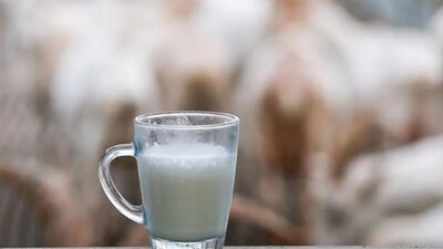 USK çiğ sütün fiyatını sabit bıraktı