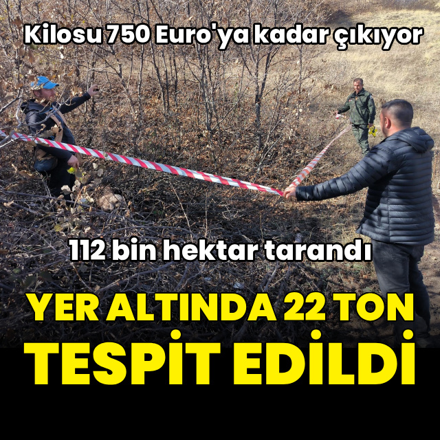 112 bin hektar tarandı, yer altında 22 ton tespit edildi