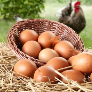 Üretici ile kota arasında sıkışan yumurta