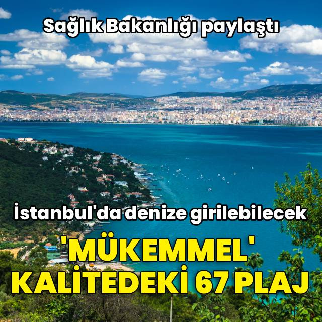 İşte İstanbul'da denize girilebilecek 'mükemmel' kalitedeki 67 yer