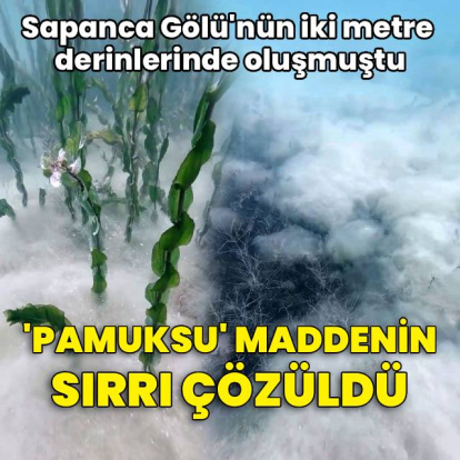 Sapanca Gölü'nde görülen 'pamuksu' maddenin sırrı çözüldü