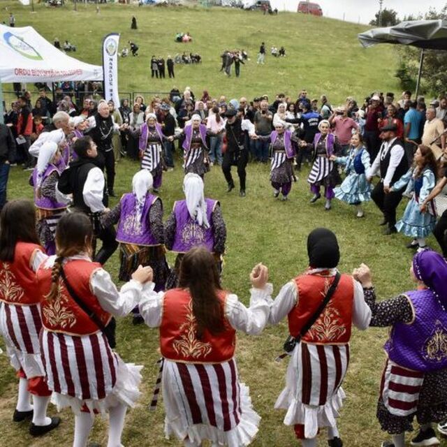 Ordu'da Çambaşı Yayla Festivali başladı