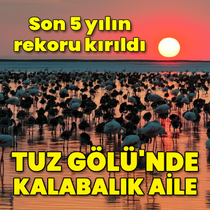 Tuz Gölü'nde kalabalık aile