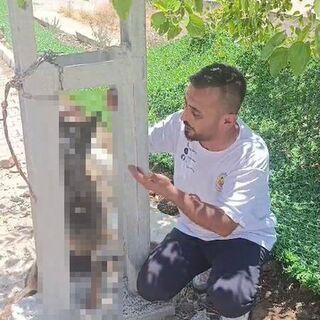 Çaldı, öldürüp direğe astı!