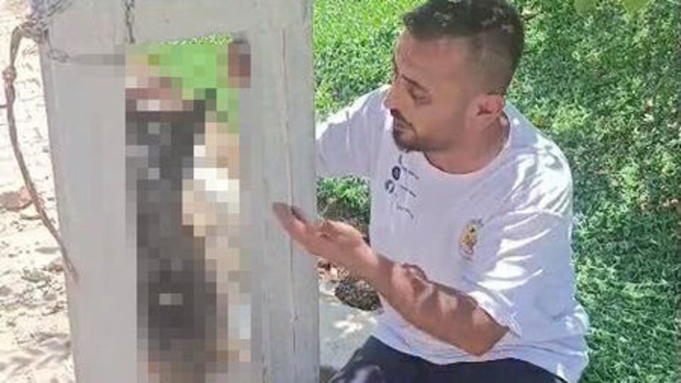 Çaldı, öldürüp direğe astı!