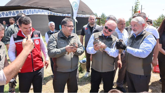 Çorum'da keneyle mücadele için doğaya keklik
