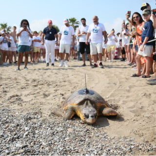 Otellerden caretta carettalara uydu cihazı