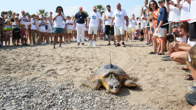 Otellerden caretta carettalara uydu cihazı
