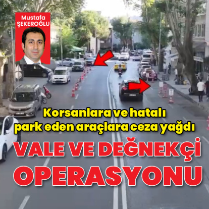 Sarıyer'de vale ve değnekçi operasyonu!