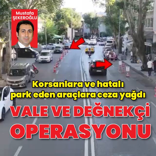 Sarıyer'de vale ve değnekçi operasyonu!